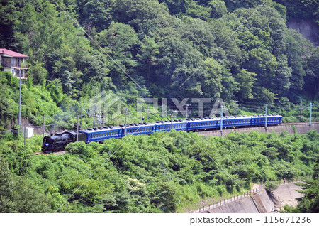 上越線 上牧水上 JR 東日本 C61-20+12 系列(高崎) SL 水上 上越線 上牧水上 JR 東日本 C61-20+12 系列(高崎) SL 水上 115671236