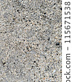 Sandy ground with small shells and stones 115671538