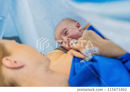 Baby on mother's chest immediately after birth in a hospital. The mother and newborn share a tender moment, emphasizing the bond and emotional connection. The medical staff ensures a safe and caring 115671802