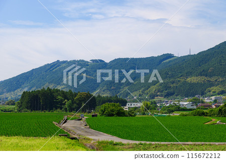 靜岡縣富士宮市湯野附近的鄉村風景 115672212