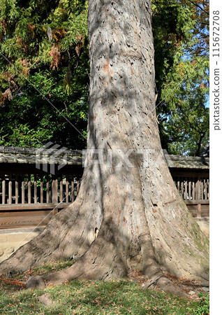 中山道熊谷宿散步:熊谷市高木神社宮町 中山道熊谷宿散步:熊谷市高木神社宮町 115672708