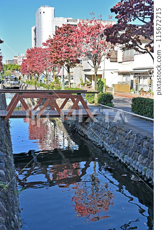 中山道熊谷宿散步：星川水上樂園 115672715