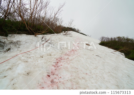 Snow piled up on the hiking trail at Mt. Karamatsu 115673313