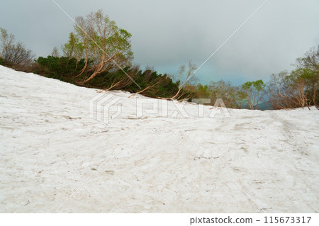 Snow piled up on the hiking trail at Mt. Karamatsu 115673317