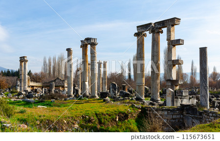 Temple of Aphrodite in Aphrodisias ancient city, Turkey. 115673651