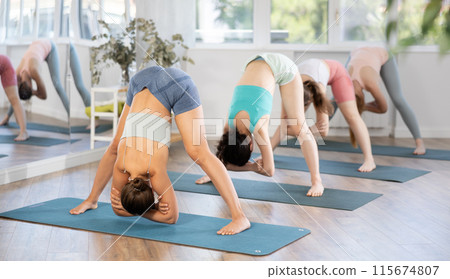 Women meditates in yoga pose parshvottanasana in gym Women meditates in yoga pose parshvottanasana in gym 115674807