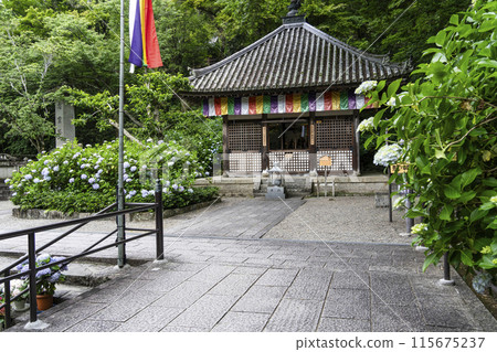 長谷寺（奈良縣）六月的開山堂 115675237