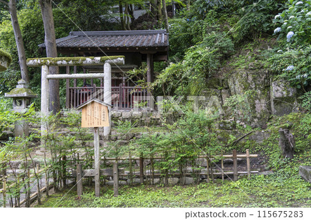 June at Hasedera Temple (Nara Prefecture) Sanbu Gongensha Shrine June at Hasedera Temple (Nara Prefecture) Sanbu Gongensha Shrine 115675283