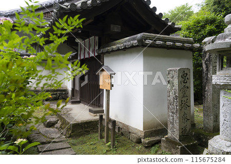 June at Hasedera Temple (Nara Prefecture) June at Hasedera Temple (Nara Prefecture) 115675284
