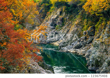 Valley dyed in autumn leaves 115675408