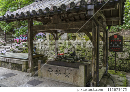 Hasedera Temple (Nara Prefecture) in June - Chozuya Hasedera Temple (Nara Prefecture) in June - Chozuya 115675475
