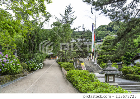 六月的長谷寺寺院(奈良縣) 六月的長谷寺寺院(奈良縣) 115675723