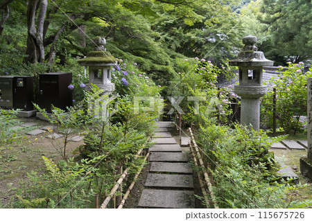 The grounds of Hasedera Temple (Nara Prefecture) in June 115675726