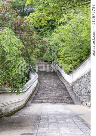 The grounds of Hasedera Temple (Nara Prefecture) in June 115675788