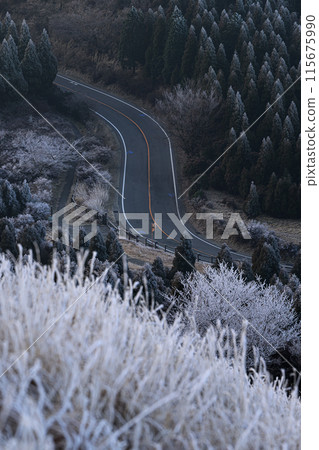 阿蘇風景 阿蘇全景線 115675990