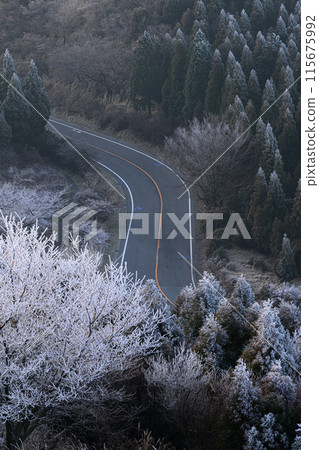 Aso scenery: Aso Panorama Line 115675992