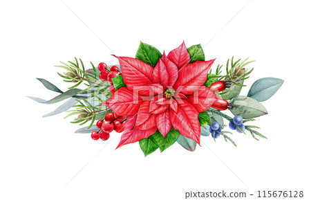Winter season vintage style floral decoration with poinsettia flower. Watercolor illustration. Christmas time festive painted decor with pine, eucalyptus, berries, poinsettia. White background 115676128