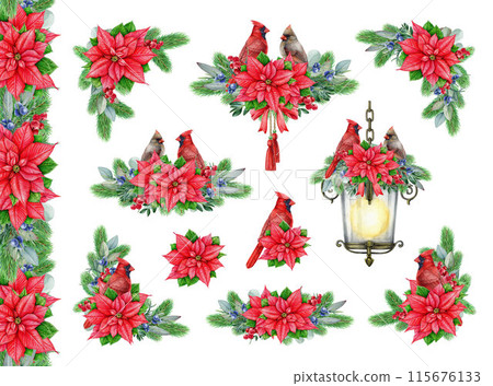 Vintage style winter floral decor set with red cardinal birds. Watercolor illustration. Christmas festive painted decor with conifer, berries, poinsettia, birds. Winter collection on white background Vintage style winter floral decor set with red cardinal birds. Watercolor illustration. Christmas festive painted decor with conifer, berries, poinsettia, birds. Winter collection on white background 115676133