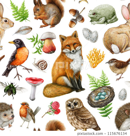 Forest animals with natural elements seamless pattern. Vintage style watercolor illustration. Hand drawn fox, squirrel, hedgehog, robin, mushroom, fern, grass seamless pattern. White background Forest animals with natural elements seamless pattern. Vintage style watercolor illustration. Hand drawn fox, squirrel, hedgehog, robin, mushroom, fern, grass seamless pattern. White background 115676134