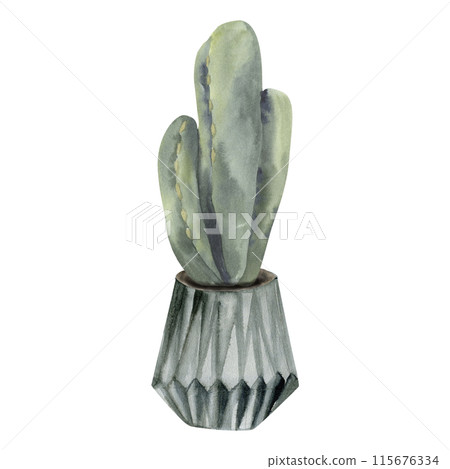Green home cactus in grey pot watercolor illustration. Decorative set greenery collection. Home plants potted for greeting card, banner, invintation print 115676334