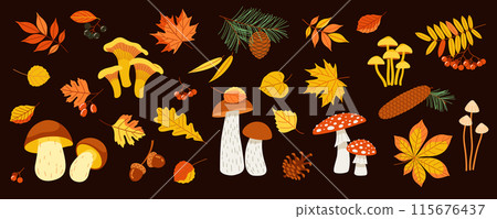 Autumn Set. Collection of forest mushrooms and yellowed leaves. Autumn Set. Collection of forest mushrooms and yellowed leaves. 115676437
