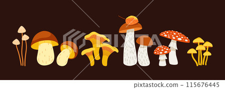 Set of forest mushrooms isolated on dark background 115676445