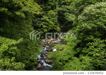 Naso Shirataki Falls, Akita Prefecture 115676452
