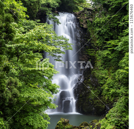 Naso Shirataki Falls, Akita Prefecture Naso Shirataki Falls, Akita Prefecture 115676460