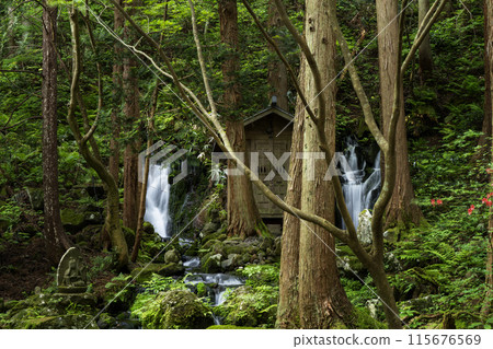 山形名水百選 土原瀑布 115676569