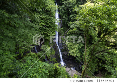 Shasui Falls 115676703