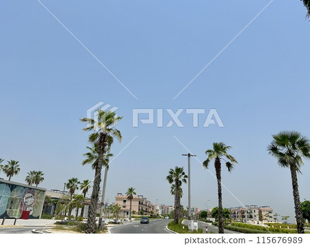 Palm-lined beach and sky 115676989