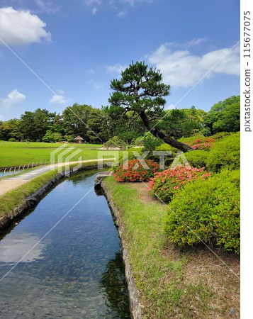 OKAYAMA, JAPAN - MAY 22 2023: Strolling through Korakuen Garden, Okayama OKAYAMA, JAPAN - MAY 22 2023: Strolling through Korakuen Garden, Okayama 115677075
