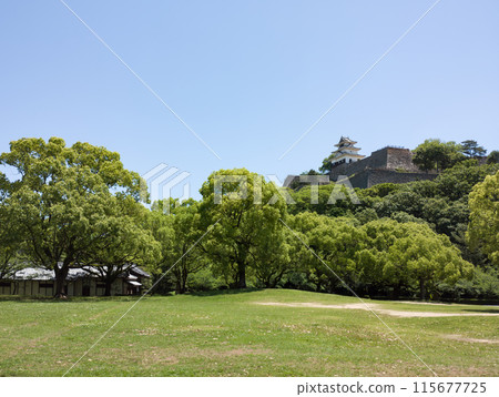 Marugame Castle: The castle tower from the palace ruins Marugame Castle: The castle tower from the palace ruins 115677725