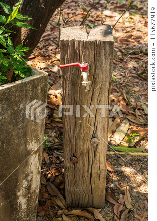 Faucet embedded in a tree stump Faucet embedded in a tree stump 115677919