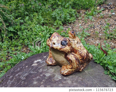 Frog ornament Frog ornament 115678723