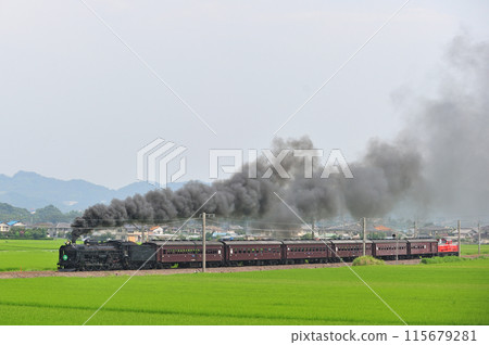 信越本線 安中磯部 JR 東日本 C61-20 + 舊旅客 + DD51-842 SL 復古臼井 115679281