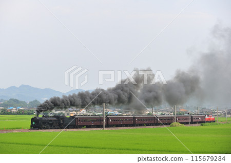 Shinetsu Main Line Annaka-Isobe JR East C61-20 + old passenger car + DD51-842 SL Retro Usui 115679284