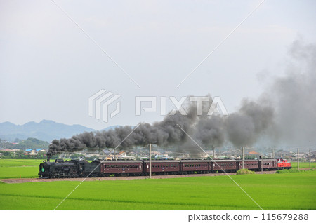 信越本線 安中磯部 JR 東日本 C61-20 + 舊旅客 + DD51-842 SL 復古臼井 信越本線 安中磯部 JR 東日本 C61-20 + 舊旅客 + DD51-842 SL 復古臼井 115679288