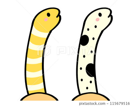 西海鰻和中海鰻插畫素材 115679516