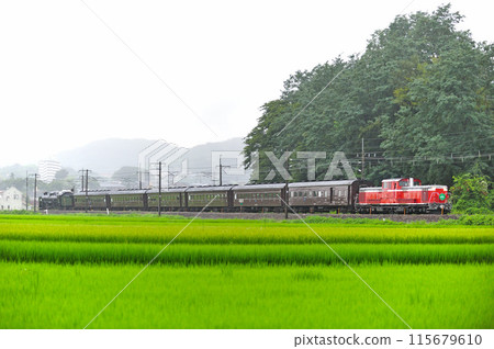 Shinetsu Main Line Annaka-Gunma Yawata JR East DD51-842 + old passenger car + C61-20 DL Retro Usui 115679610