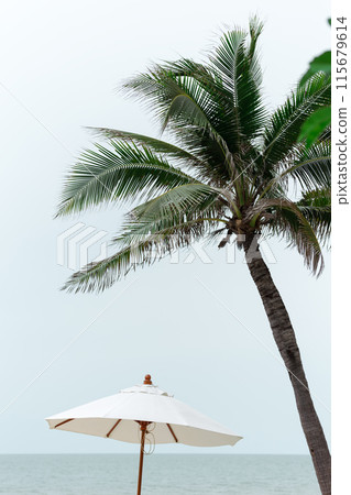 Solitary umbrella and palm tree stand against the serene grey canvas of the sky. 115679614