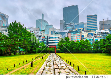 The Seonjeongneung Royal Tombs with Seoul skyline in South Korea 115679922