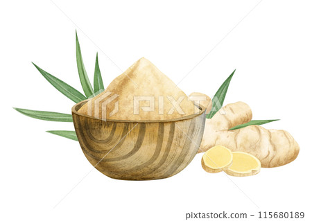 Ground garlic powder, ginger roots and leaves and rustic wooden bowl watercolor illustration isolated on white. Dry and raw spices with leaves for cooking, seasoning food and healthy dishes 115680189