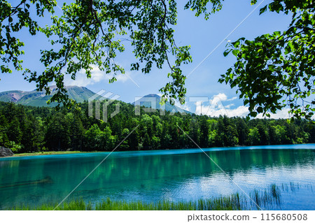 Summer Onnato 115680508