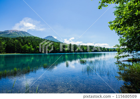 Summer Onnato 115680509