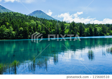 Summer Onnato Summer Onnato 115680510