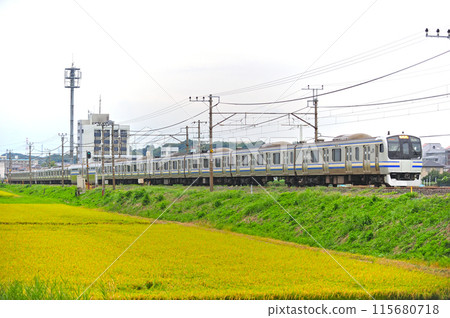 Uchibo Line, Sodegaura-Iwane, JR East, E217 series, Y-15 train (Kamakura) 115680718