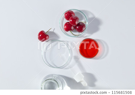 Flat lay experiment utensils on white lab countertop, blank petri dish, cherry extract dish, fresh cherry and an erlenmeyer of transparent liquid. Photo of top view, empty space for adding text Flat lay experiment utensils on white lab countertop, blank petri dish, cherry extract dish, fresh cherry and an erlenmeyer of transparent liquid. Photo of top view, empty space for adding text 115681508