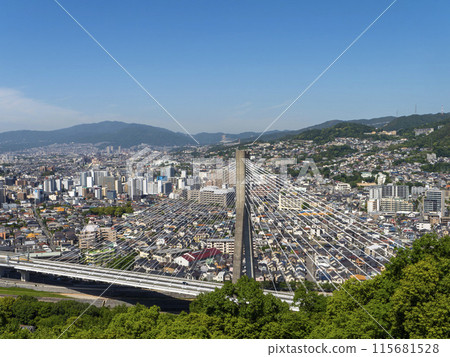 View of the Shin-Inagawa Bridge and the city from the Satsukiyama observation deck View of the Shin-Inagawa Bridge and the city from the Satsukiyama observation deck 115681528