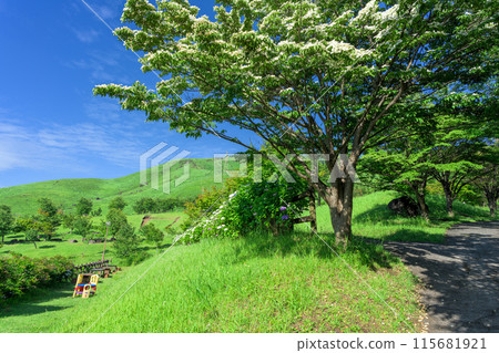 The natural scenery of Mt. Tawara and the surrounding area with the blue sky of early summer in the background (Tourist spot Mt. Tawara, Exchange Center, Moenosato) The natural scenery of Mt. Tawara and the surrounding area with the blue sky of early summer in the background (Tourist spot Mt. Tawara, Exchange Center, Moenosato) 115681921